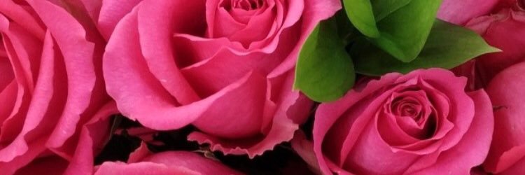 Renee W banner