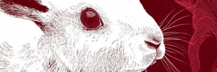 Miubyee's profile banner image