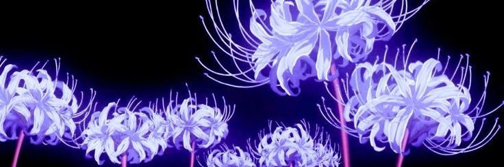 𝑎𝑛𝑛𝑎 ☩ banner