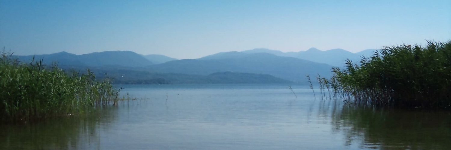Dan_Nash94's profile banner image