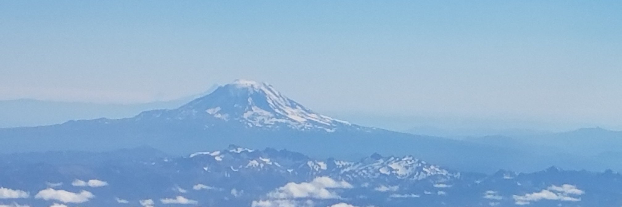 Enrique Virginia banner