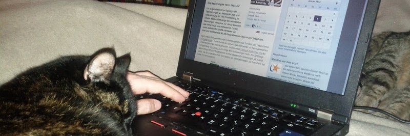 Disused account of Thorsten Leemhuis banner