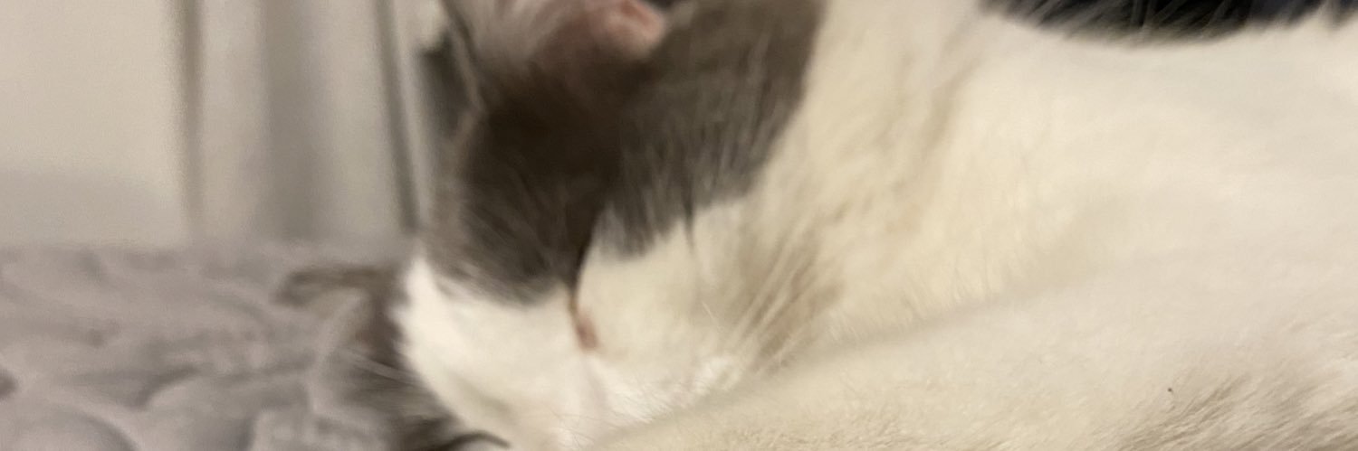 KAddisonS's profile banner image