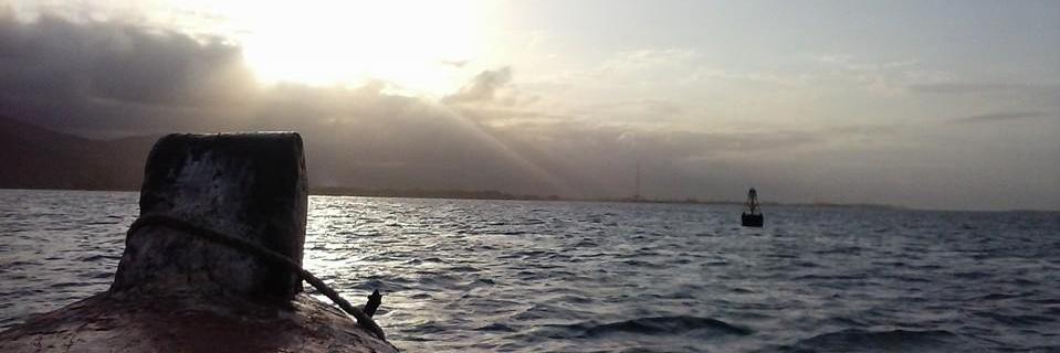 holaina's profile banner image