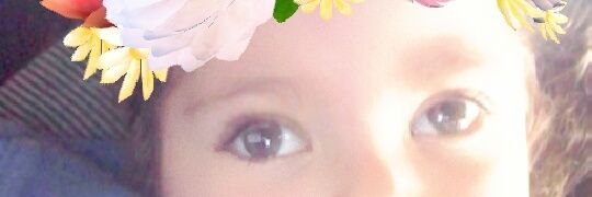 Daai_Nieto's profile banner image