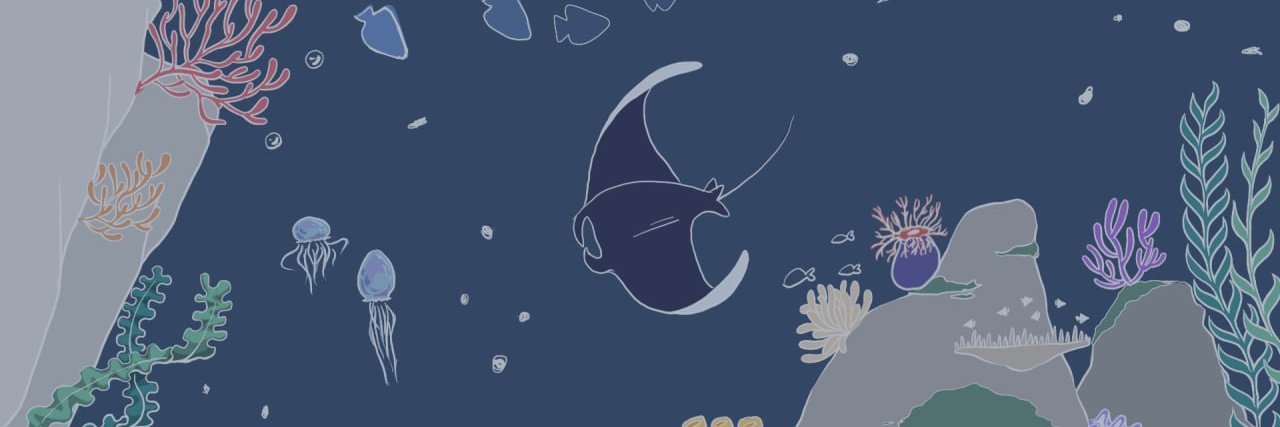 Scallop Vietnam banner