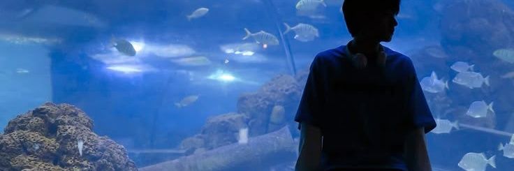 Kai || follback!! banner