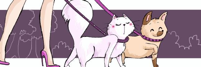 ohpacha's profile banner image