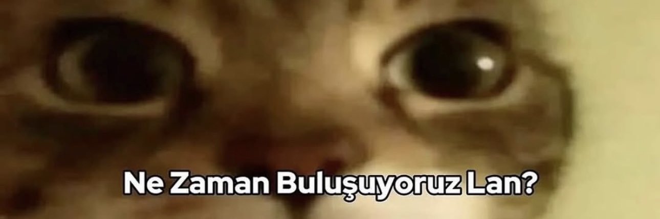 KriptoAvci2025's profile banner image