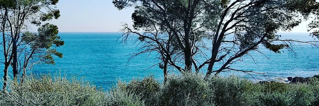 Paco Cervera  banner