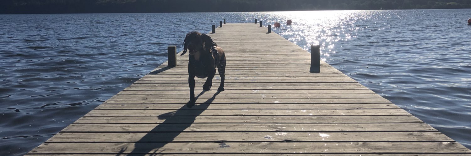 ellee_t's profile banner image