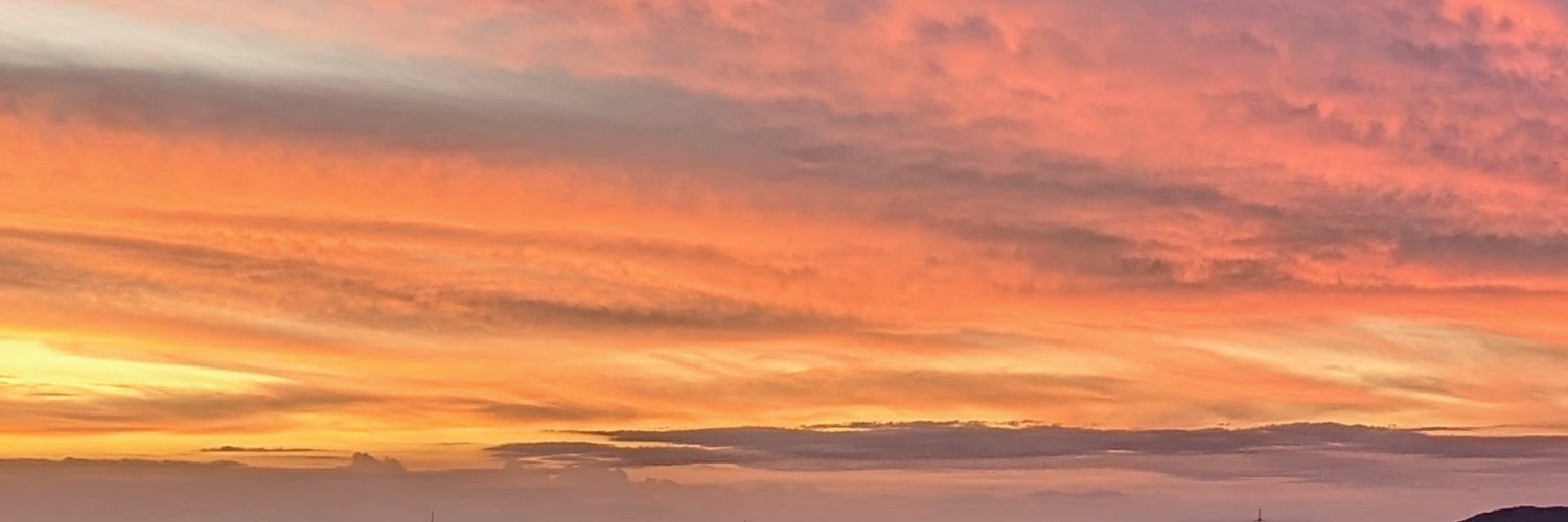 サン太 banner