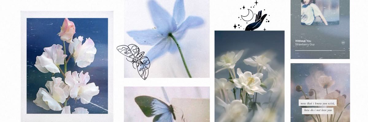 britt ✧ banner