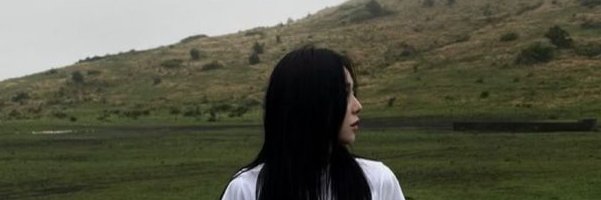 Shaw Ronan banner