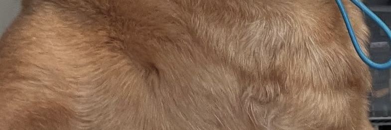 MacroEdgeFX banner
