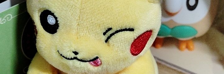 チーム「ポリズム」 banner