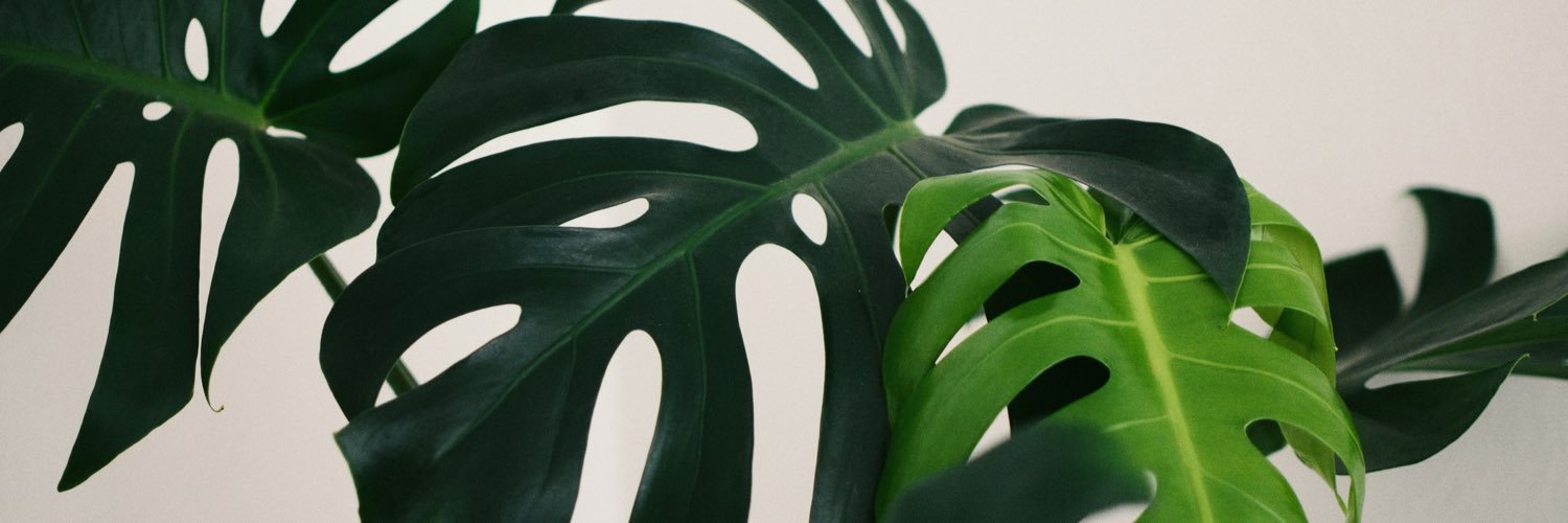datemimixo's profile banner image