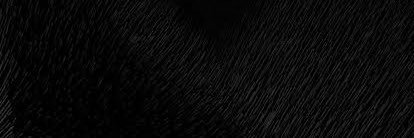 t061s's profile banner image