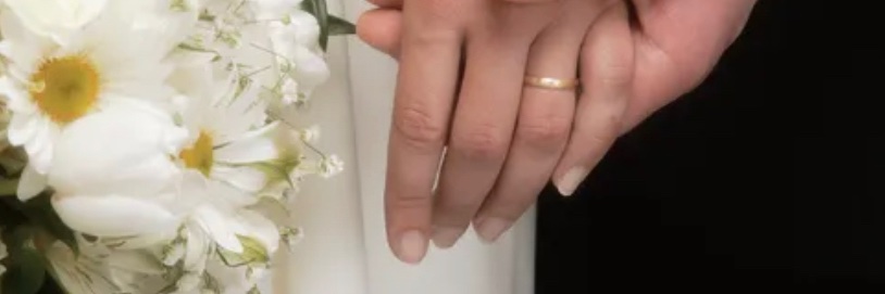 Law of Chastity banner