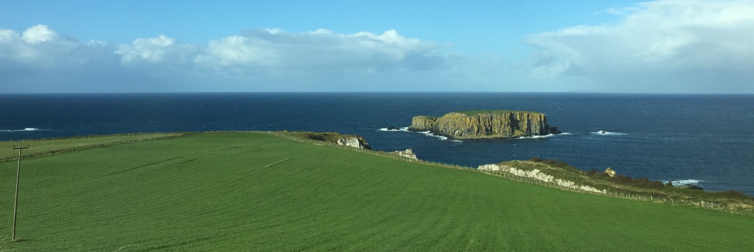 HolyCarey's profile banner image