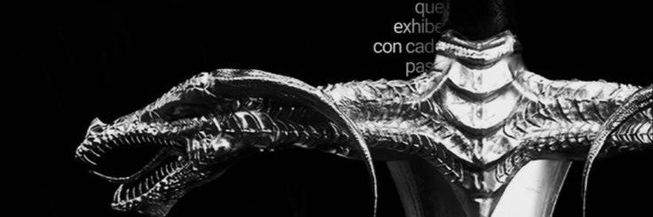 voexx_0's profile banner image