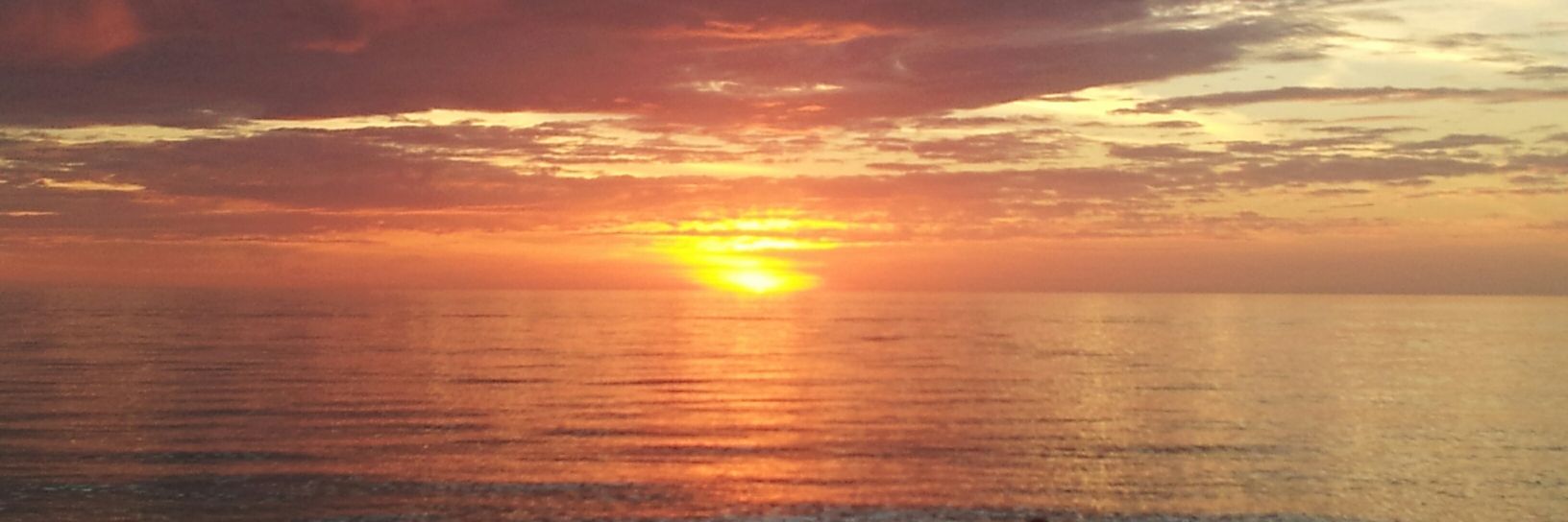 BuyMikeFLRealty's profile banner image