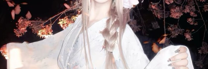 Le Daniel banner