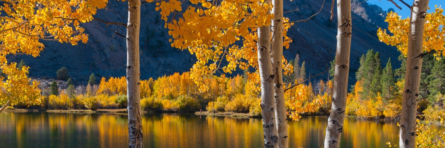 JohnTupper's profile banner image