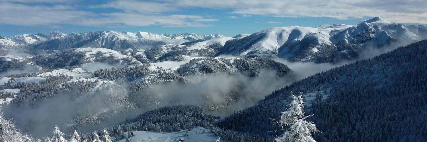 avalanche_06's profile banner image