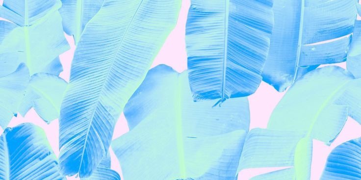 AlexandraLH's profile banner image