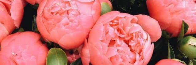 taaylorfitz's profile banner image