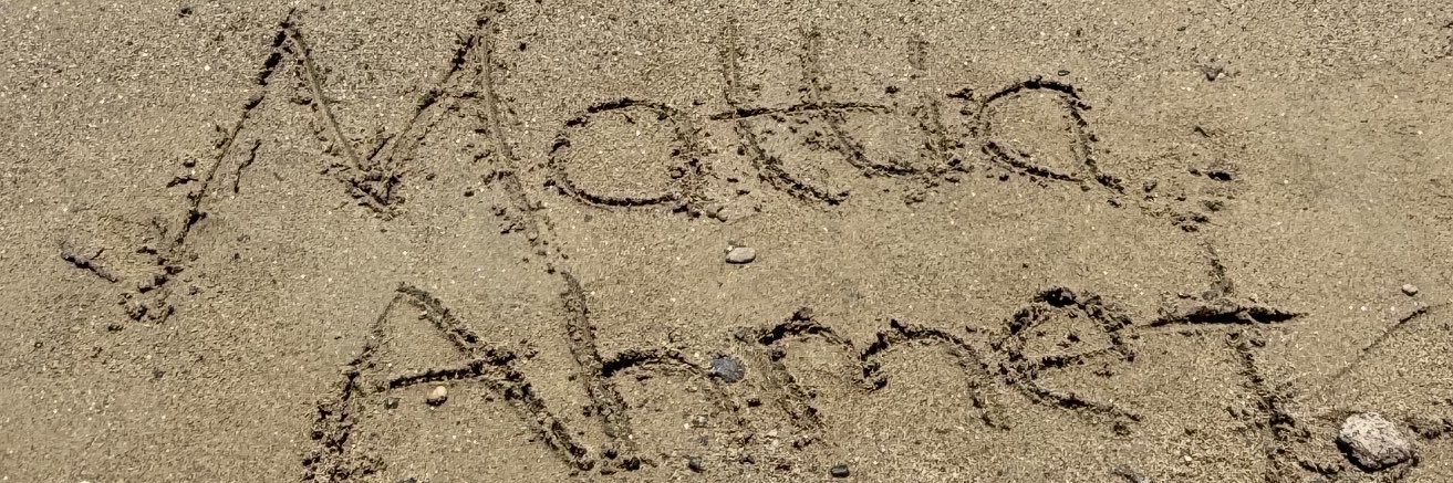 asleyla10's profile banner image