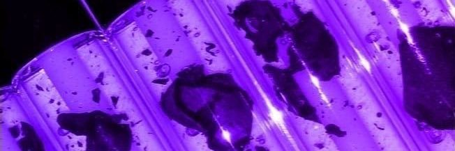 ✧𝐅𝐀𝐔𝐒𝐓𝐎𝐍 𝐌𝐎𝐓𝐋𝐄☢︎︎ banner