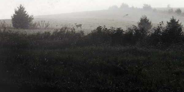 zc_tweets_'s profile banner image