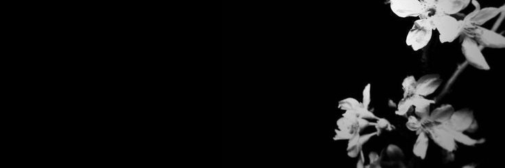 ntlixz's profile banner image