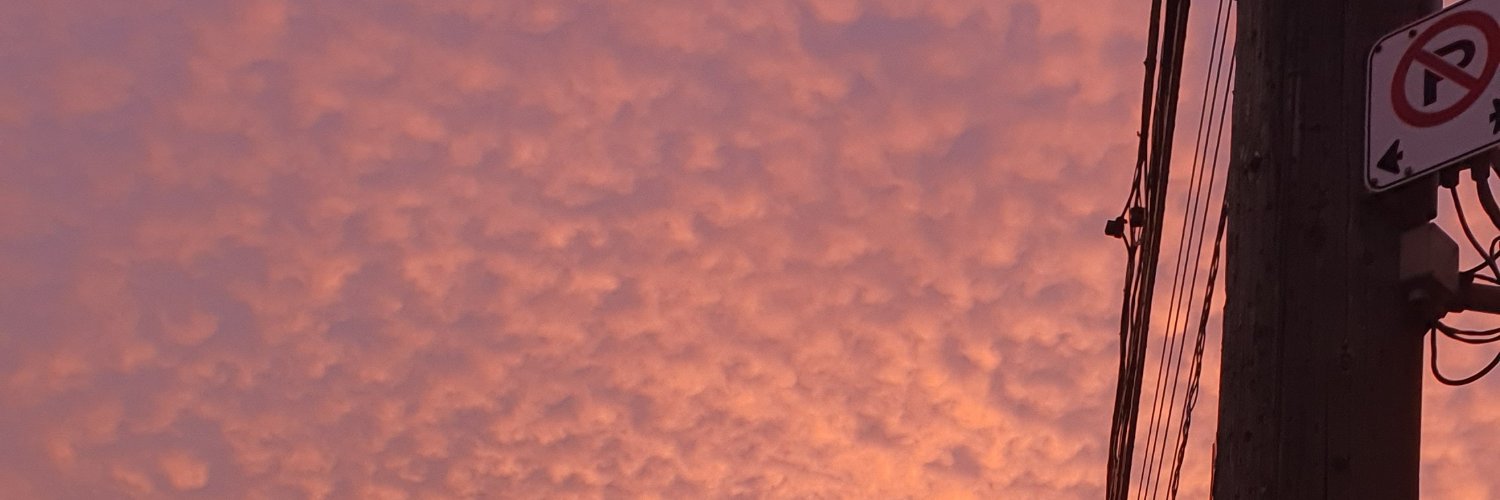 zezzyn_'s profile banner image