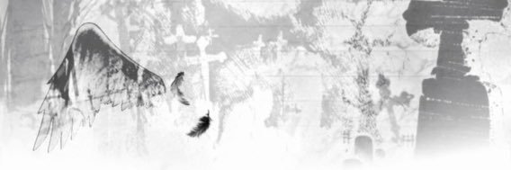 _rei_a0's profile banner image