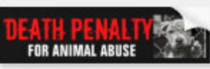 EYE for an EYE. Punishment should be equal. banner