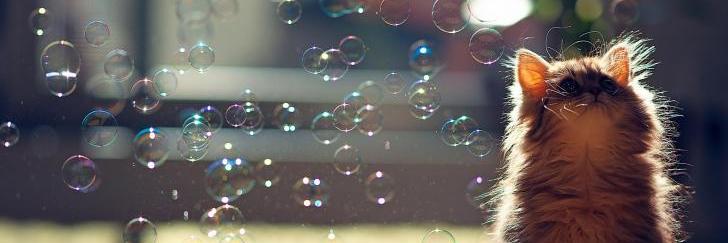 marabufeder's profile banner image