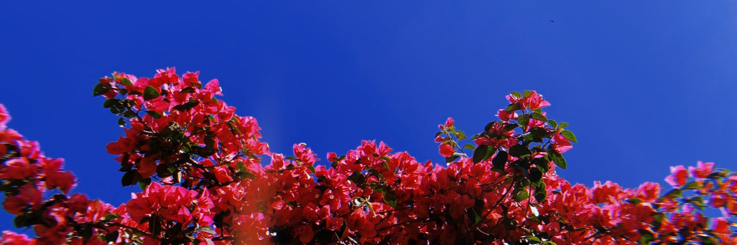 remartinsn's profile banner image