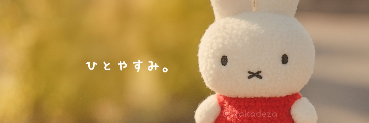 わかデザ｜うさぎと日常🐰 banner