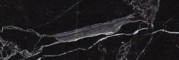 DaniTenor's profile banner image