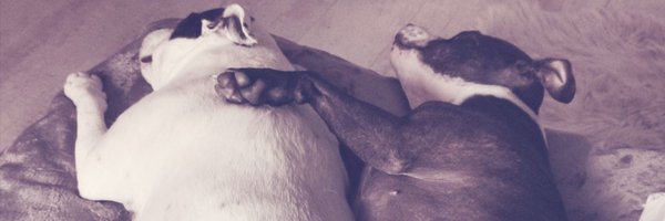 PaulOCarroll Profile Banner