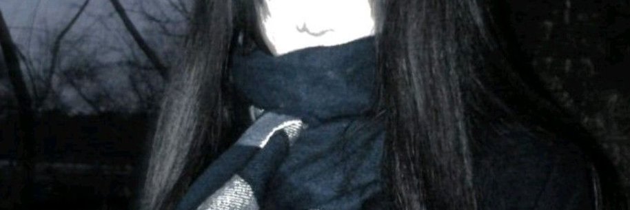 Reese Wolfe banner