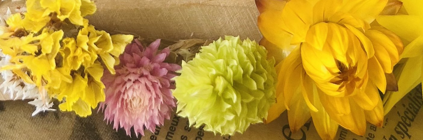🍒🌻 𝔸𝕐𝔸𝕂𝕆🌻🍒 banner