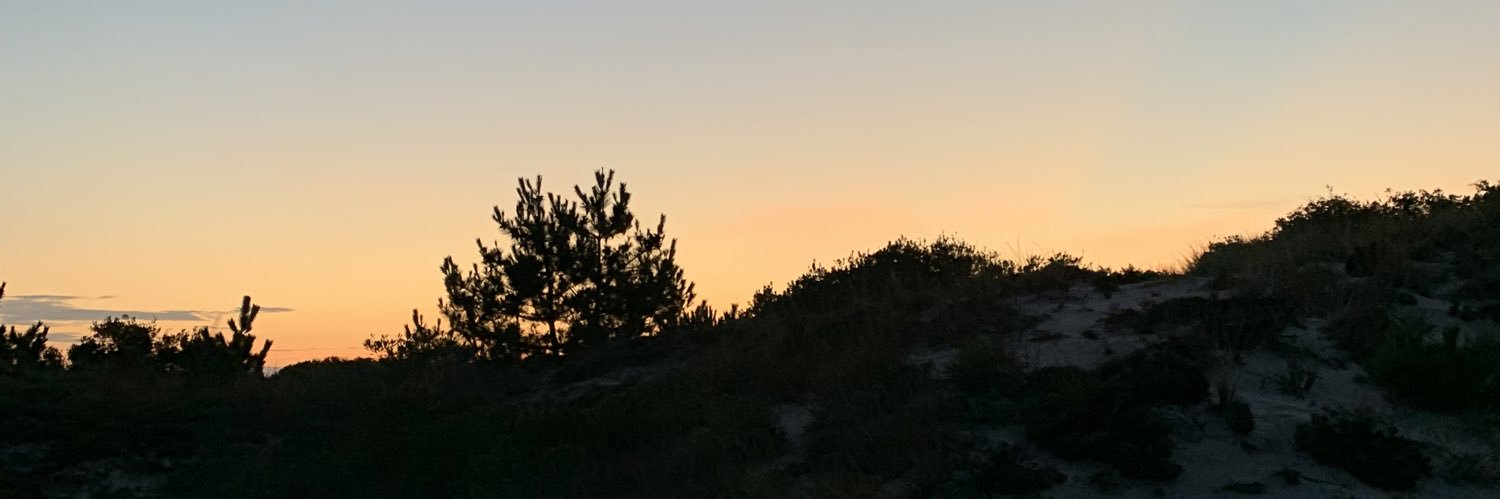 _zbro's profile banner image