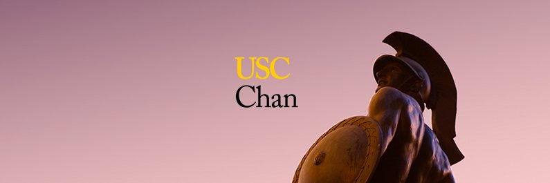 USC Chan Division banner