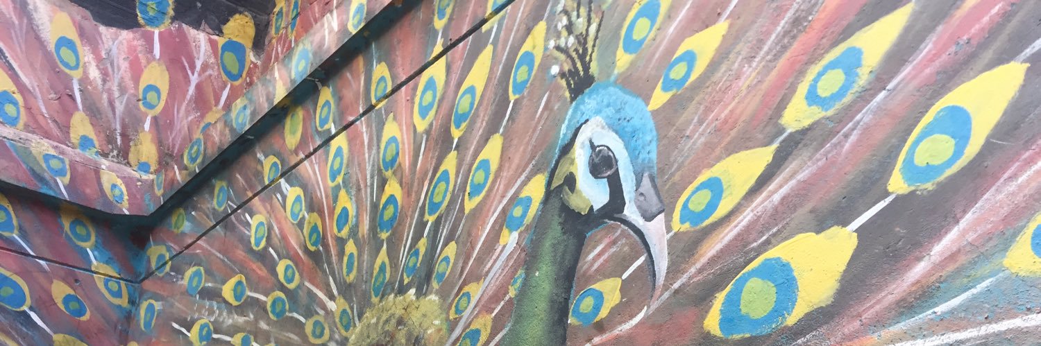 dcarito's profile banner image