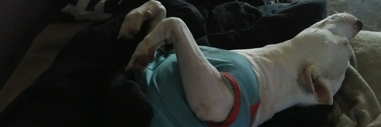 A_its_AC's profile banner image