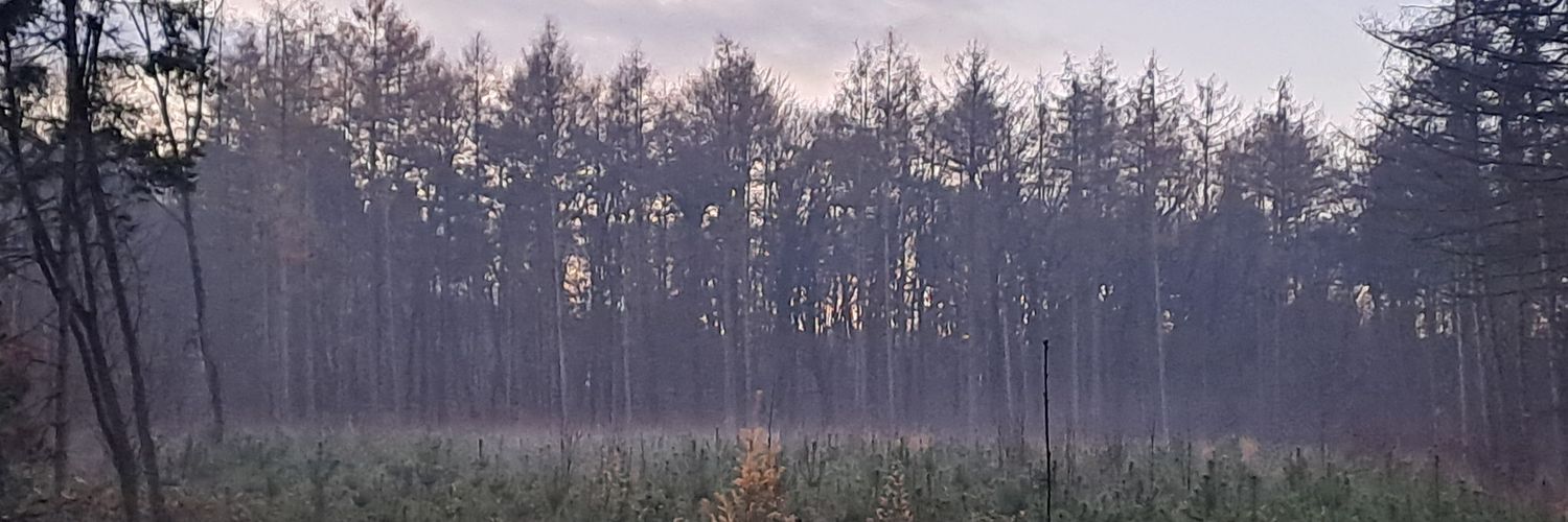 ✠ Daniël Mossbeard ✠ banner